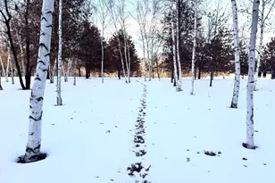 5235 313th Ave NW, Cambridge, MN 55008 - Photo 7