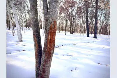 5235 313th Avenue NW, Cambridge, MN 55008 - Photo 65