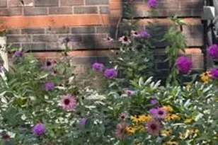 2536 Humboldt Ave S, Minneapolis, MN 55405 - Photo 35