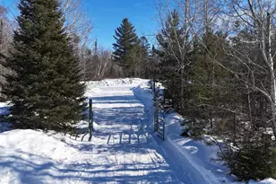 2817 Stony Loop, Isabella, MN 55607 - Photo 3