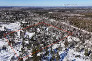 2817 Stony Loop, Isabella, MN 55607 - Photo 7