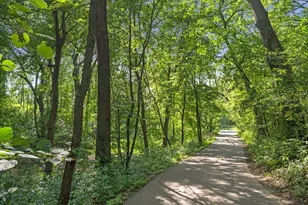 219 Morgan Ave N, Minneapolis, MN 55405 - Photo 59