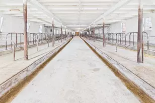 34464 Co Rd 11, Freeport, MN 56331 - Photo 33