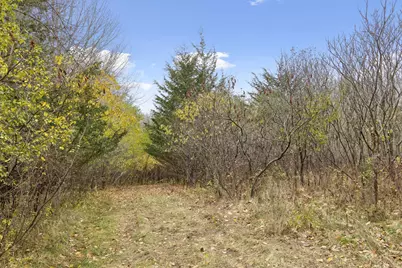 285 B N Old Crystal Bay Road, Orono, MN 55356 - Photo 11