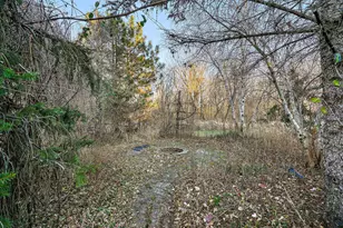 2368 Barton Ave NW, Buffalo, MN 55313 - Photo 123