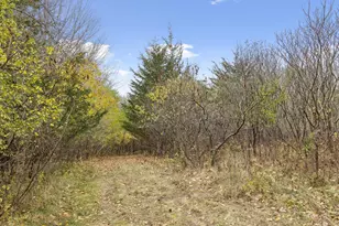 285 N Old Crystal Bay Rd, Orono, MN 55356 - Photo 17