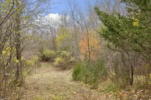 285 N Old Crystal Bay Rd, Orono, MN 55356 - Photo 27