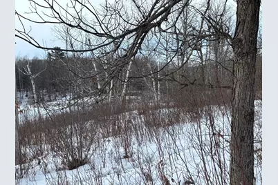 Tbd Fawn Trail NE, Longville, MN 56655 - Photo 13