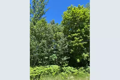 Tbd Fawn Trail NE, Longville, MN 56655 - Photo 11