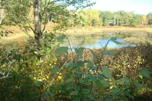 Tbd Fawn Trail NE, Longville, MN 56655 - Photo 1