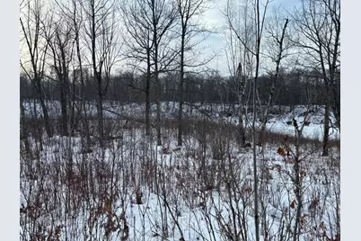 Tbd Fawn Trail NE, Longville, MN 56655 - Photo 9