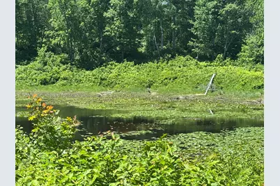 Tbd Fawn Trail NE, Longville, MN 56655 - Photo 17