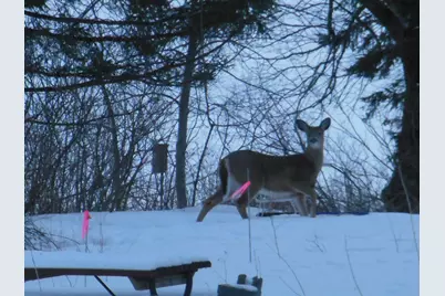 11775 Forestview Drive, Baxter, MN 56425 - Photo 25