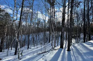 Lot 11 Firewood Trail, Park Rapids, MN 56470 - Photo 1