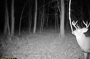 3231 Hwy 65, Mora, MN 55051 - Photo 61