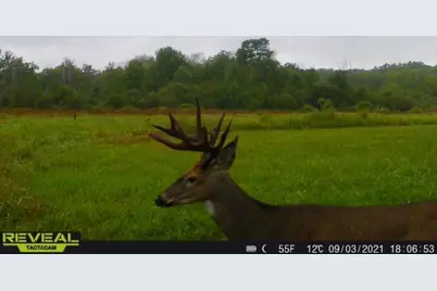 3231 Highway 65, Mora, MN 55051 - Photo 63