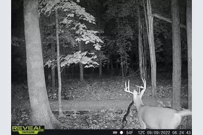 3231 Highway 65, Mora, MN 55051 - Photo 79