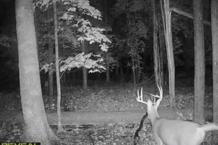 3231 Hwy 65, Mora, MN 55051 - Photo 79