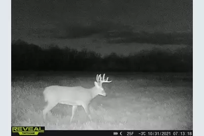 3231 Highway 65, Mora, MN 55051 - Photo 71