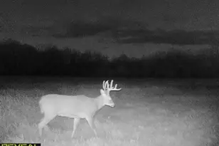 3231 Hwy 65, Mora, MN 55051 - Photo 71