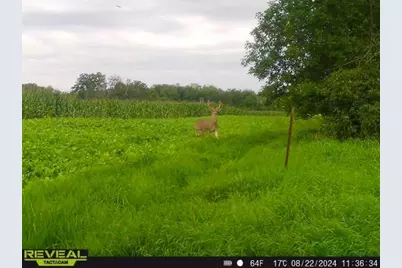 3231 Highway 65, Mora, MN 55051 - Photo 69