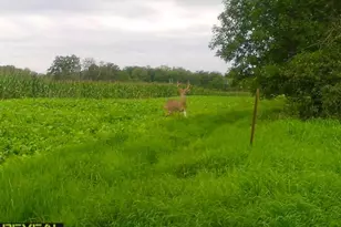 3231 Hwy 65, Mora, MN 55051 - Photo 69