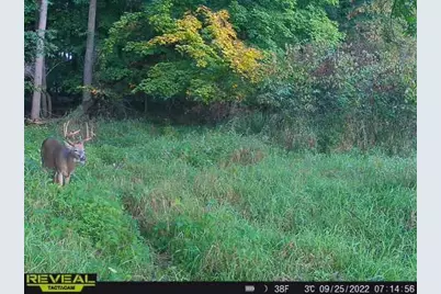 3231 Highway 65, Mora, MN 55051 - Photo 55