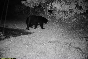 3231 Hwy 65, Mora, MN 55051 - Photo 73