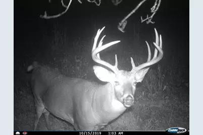 3231 Highway 65, Mora, MN 55051 - Photo 49