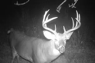 3231 Hwy 65, Mora, MN 55051 - Photo 49