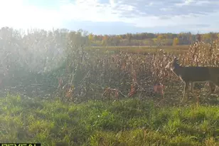 3231 Hwy 65, Mora, MN 55051 - Photo 53