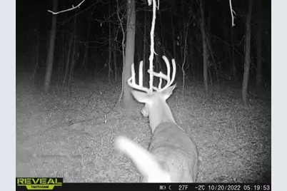 3231 Highway 65, Mora, MN 55051 - Photo 59