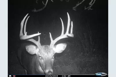 3231 Highway 65, Mora, MN 55051 - Photo 51