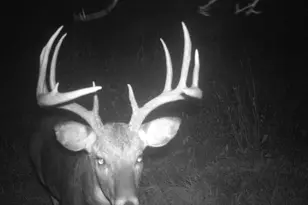 3231 Hwy 65, Mora, MN 55051 - Photo 51