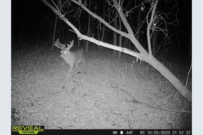 3231 Highway 65, Mora, MN 55051 - Photo 57