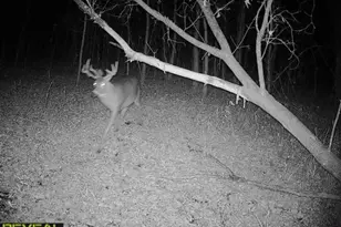 3231 Hwy 65, Mora, MN 55051 - Photo 57