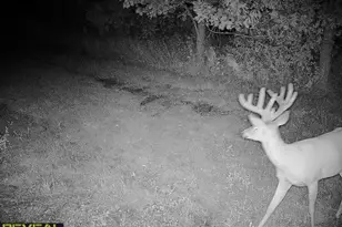 3231 Hwy 65, Mora, MN 55051 - Photo 77