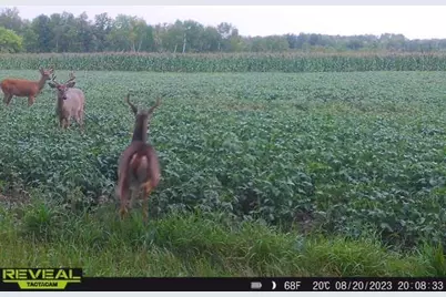 3231 Highway 65, Mora, MN 55051 - Photo 67