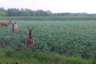 3231 Hwy 65, Mora, MN 55051 - Photo 67