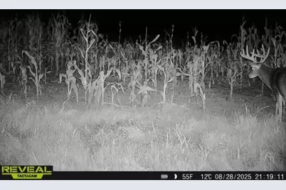 3231 Highway 65, Mora, MN 55051 - Photo 75