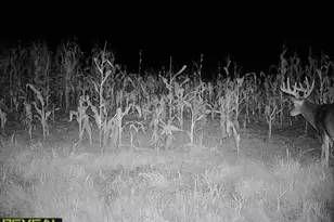 3231 Hwy 65, Mora, MN 55051 - Photo 75