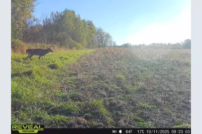 3231 Highway 65, Mora, MN 55051 - Photo 47