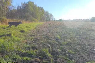 3231 Hwy 65, Mora, MN 55051 - Photo 47