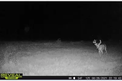 3231 Highway 65, Mora, MN 55051 - Photo 65