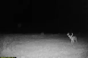 3231 Hwy 65, Mora, MN 55051 - Photo 65