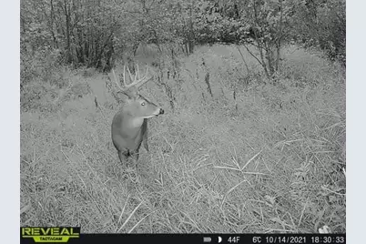 3231 Highway 65, Mora, MN 55051 - Photo 81