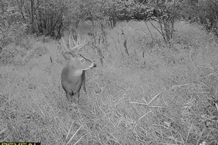 3231 Hwy 65, Mora, MN 55051 - Photo 81