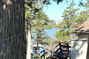 4808 132nd Ave NE, Spicer, MN 56288 - Photo 5