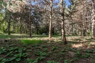 8717 Demontreville Trail N, Lake Elmo, MN 55042 - Photo 17