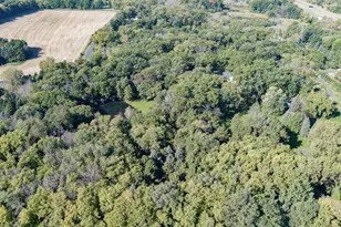 8717 Demontreville Trail N, Lake Elmo, MN 55042 - Photo 59